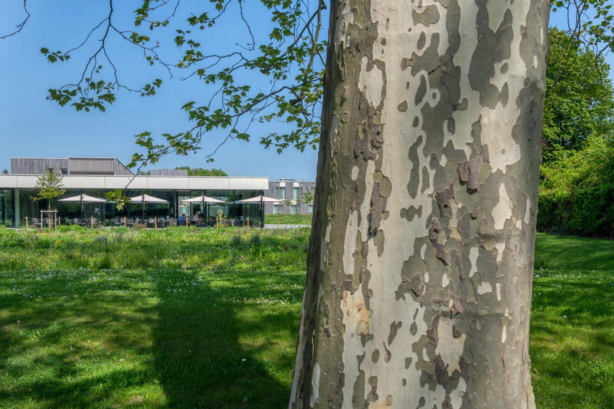 Martin'S Rentmeesterij Bilzen Bagian luar foto